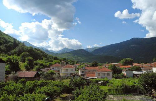 House Venetia - Photo 3