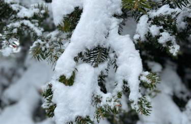Blessings Chalet στον Παλαιό Άγιο Αθανάσιο με Τζάκι, Barbeque, μεγάλη αυλή και υπέροχη θέα - Foto 74