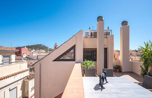 Doña Elvira. Las Terrazas - Foto 36