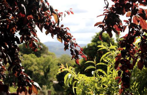 Miguas House - Foto 30