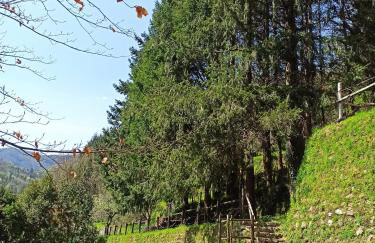 Il Bosco di Campo Marzano Nature Retreats - Foto 44