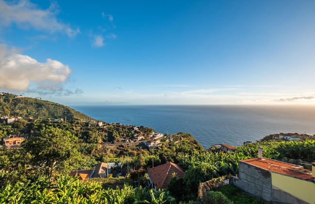 White Rabbit II by Homie - Foto 19