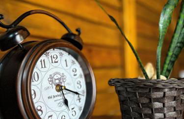 Chalé de Madeira em Vargem Alta - Photo 18