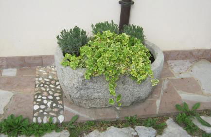 La Residence da Caterina - Photo 17