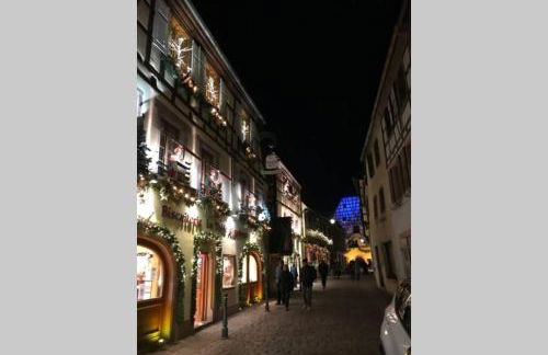 Coeur Alsace - Foto 54