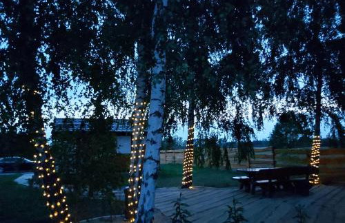 Drewniany Zakątek z sauną i jacuzzi - Foto 9