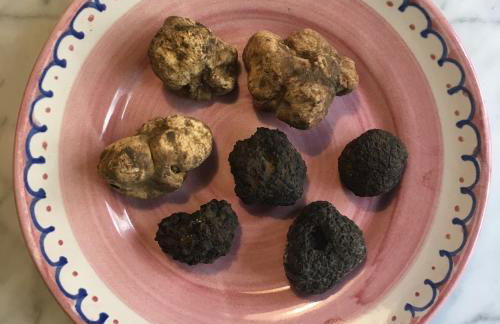 Villa Porcigliano Olive Grove - Foto 66