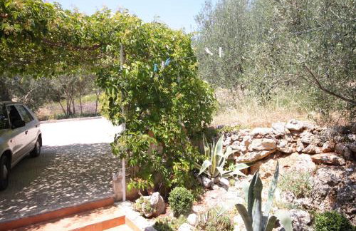 Apartments with parking space Brbinj, Dugi otok - 8160 - Foto 19