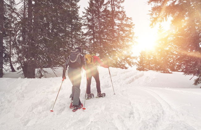 Aparthotel Golden Lodges Rauris - Foto 43