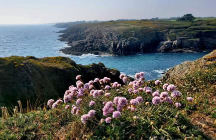 Portec la mer et le sentier côtier à pied - Foto 40