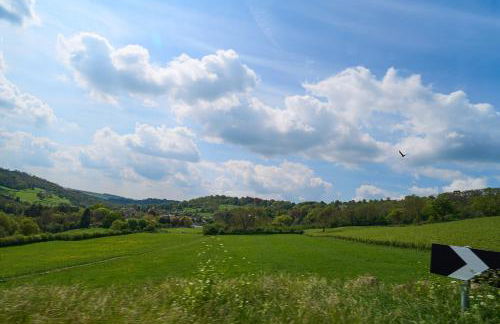 Luxury Big House Berkeley House near Bath - Photo 84