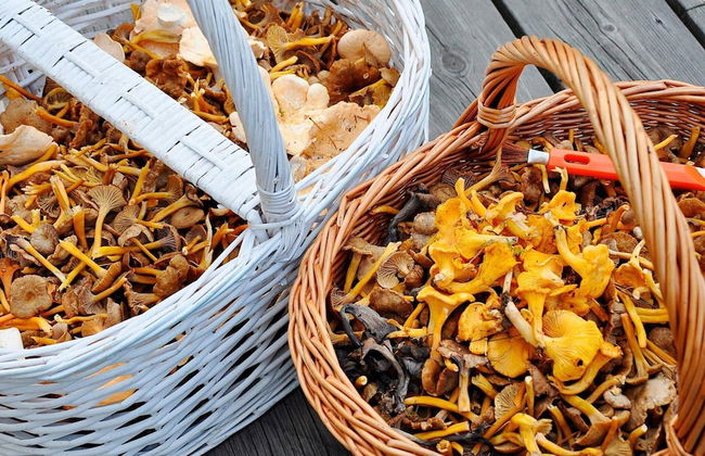 2 Person Holiday Home in Storahoga - Foto 10