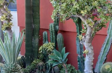 Sissi View - Photo 50