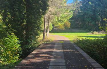 A Restful Studio Near a Creek and Forest - Pet Friendly - Foto 13