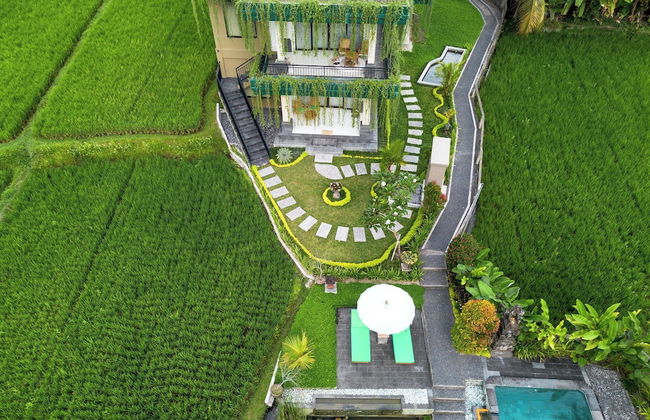Cahaya Ubud Villa - Foto 46
