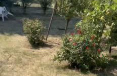 Alloggio con camino nel borgo del castello - Foto 35