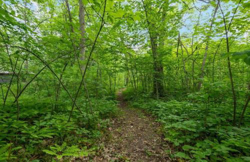 Wilderness Meadows - Foto 16