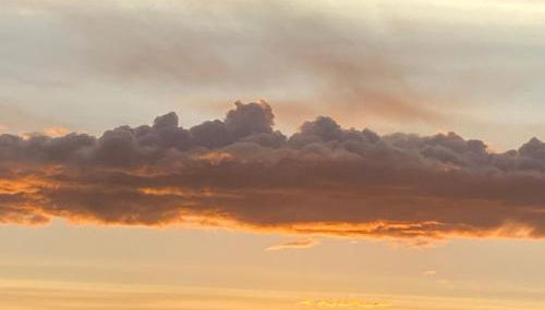 Fuoridicampo beige - Foto 4