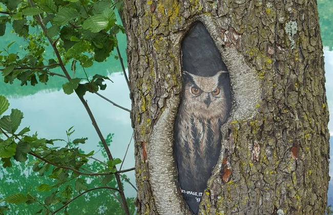 Masetto Egidio Agritur - Foto 56