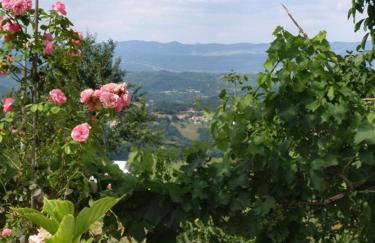 apartman Vojskovic - Foto 8