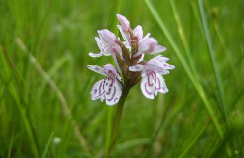 Riverside House - Foto 19