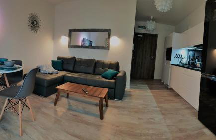 APARTAMENT 5 MÓRZ SPA - NA FALI - Foto 3