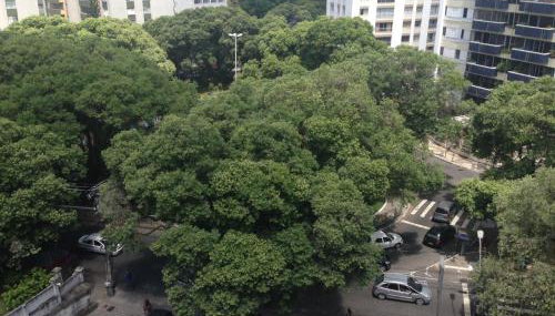 Apartamento na Graça - Foto 4