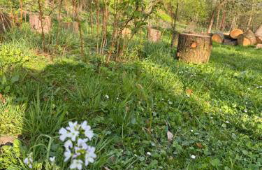 Zdzisiówka - Foto 39