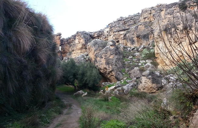 Cuevas Almagruz - Foto 26