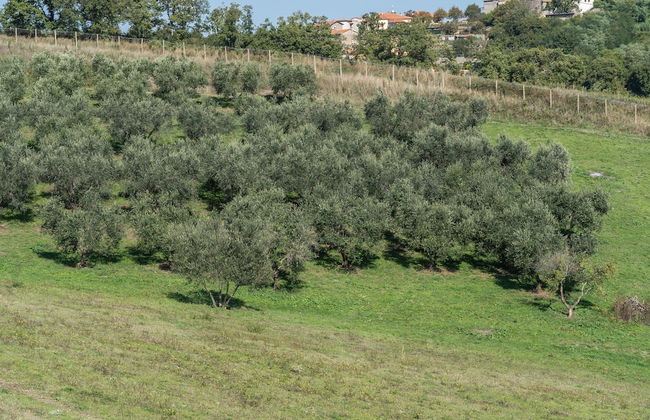 Agriturismo Bella Cima - Foto 23