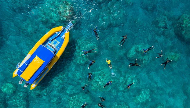 Fazendo snorkel em águas cristalinas