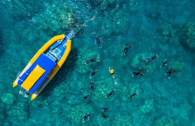Excursión a la isla Whitsunday y Hook Island con snorkel - Foto 5