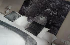 La Lagareta de Olivia - Foto 20