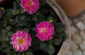 7 STODOŁA - Hotel butikowy - Foto 70