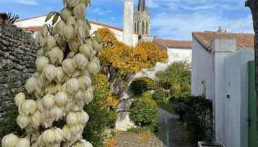 Maison de charme à la Couarde-sur-Mer - Foto 4