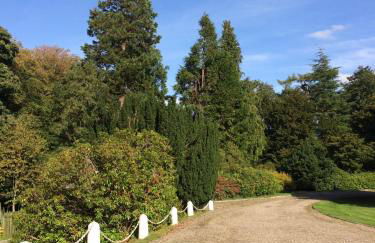 Limefield Mansion House - Foto 16