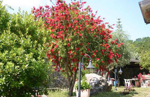 Casa Vacanze Korello - Foto 11