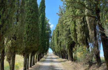 Villa Poggio dei Cipressi - Foto 36