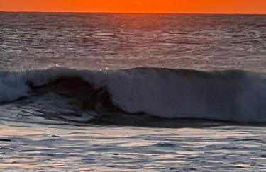 AIRUNNES Atico duplex Zahara primera linea - Photo 44