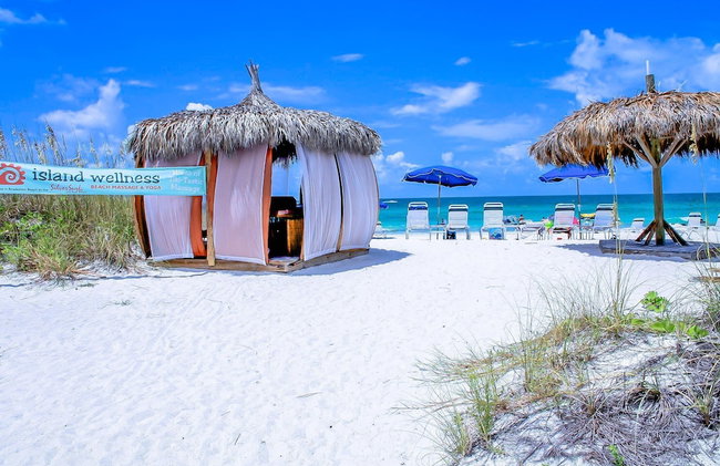 Anna Maria Island Beach Palms 8B - Foto 58