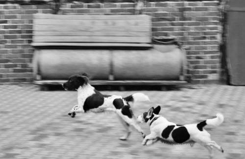 Bed and Bike Rheine - Foto 16