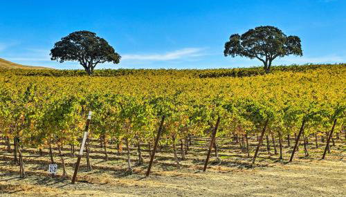 Pleasant Valley Wine Trail Home - Near Paso Robles - Foto 2