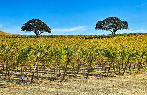 Pleasant Valley Wine Trail Home - Near Paso Robles - Photo 2