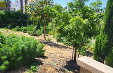 Family house with nice garden 10min from Sanlúcar - Photo 46