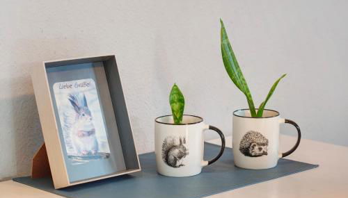 Ferienwohnung Pöttner - Foto 5