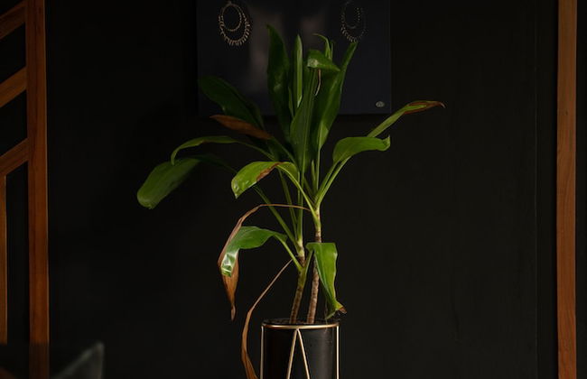 K NAJ Community Cenote residence - Photo 8