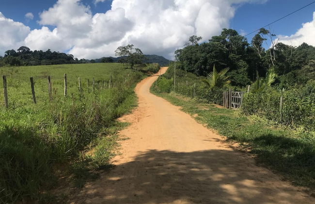 Ayahuaska - Photo 29