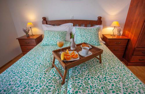 Apartment Jerry with private pool - Photo 12