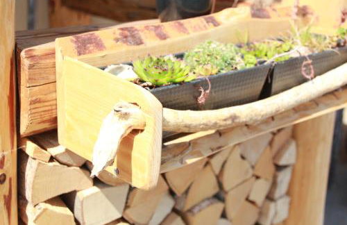 Danubio an der Donau - Donau-Resorium - Foto 12