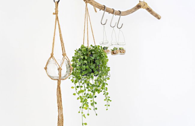 Formosa Bay - AM in Tavira - Photo 4